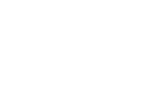 SYNAPSIS LIGHTS